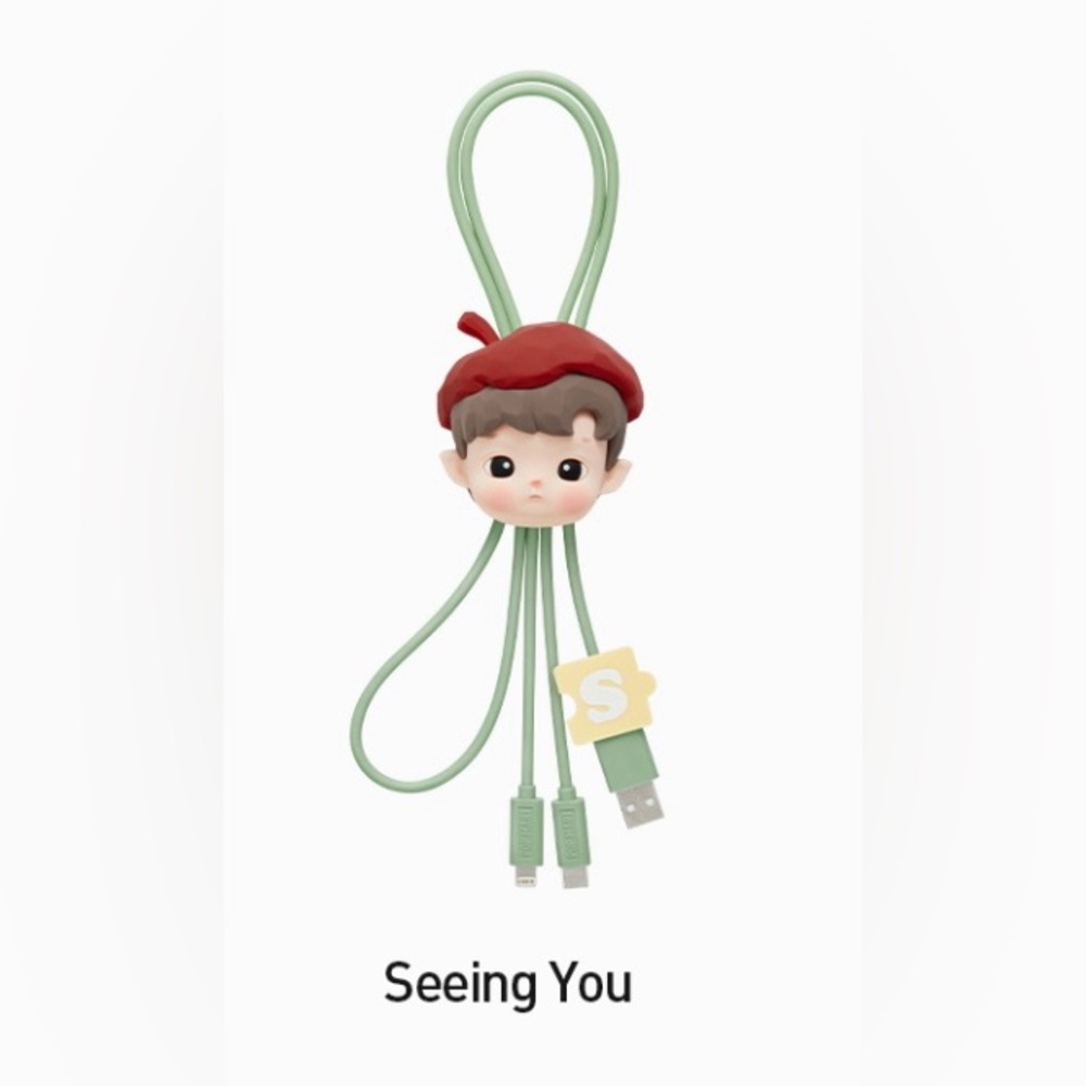 Hand in Hand- Lightning/USB-C Charging Cable- Seeing You